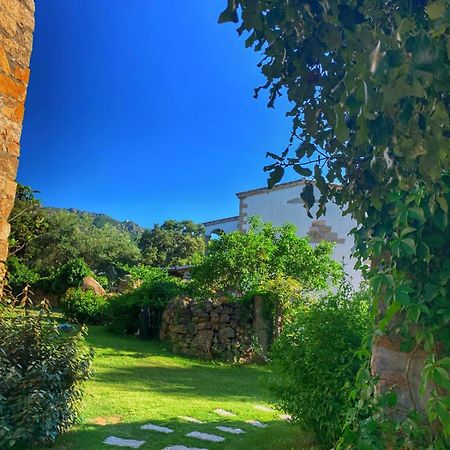 Agriturismo Casteddu Padru Екстериор снимка