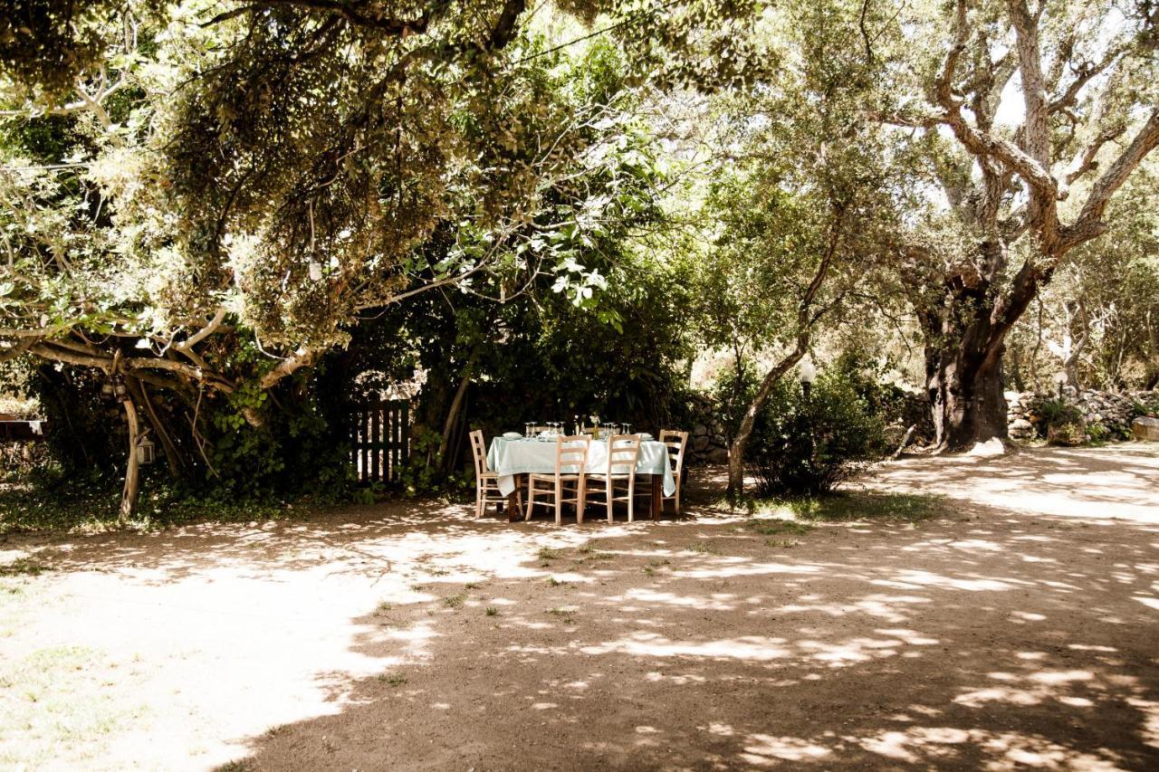 Agriturismo Casteddu Padru Екстериор снимка