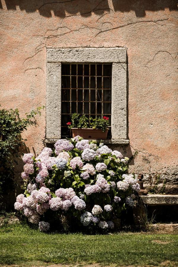Agriturismo Casteddu Padru Екстериор снимка