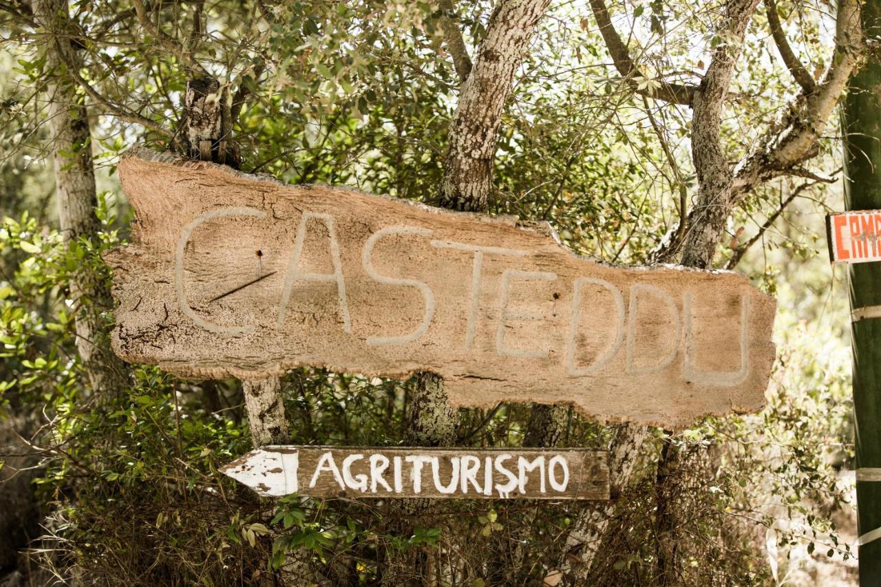 Agriturismo Casteddu Padru Екстериор снимка
