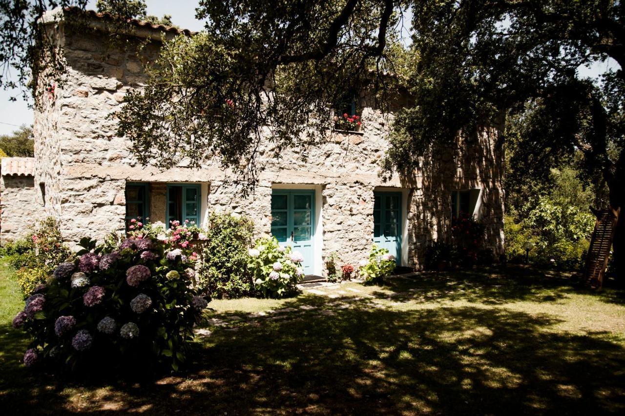 Agriturismo Casteddu Padru Екстериор снимка