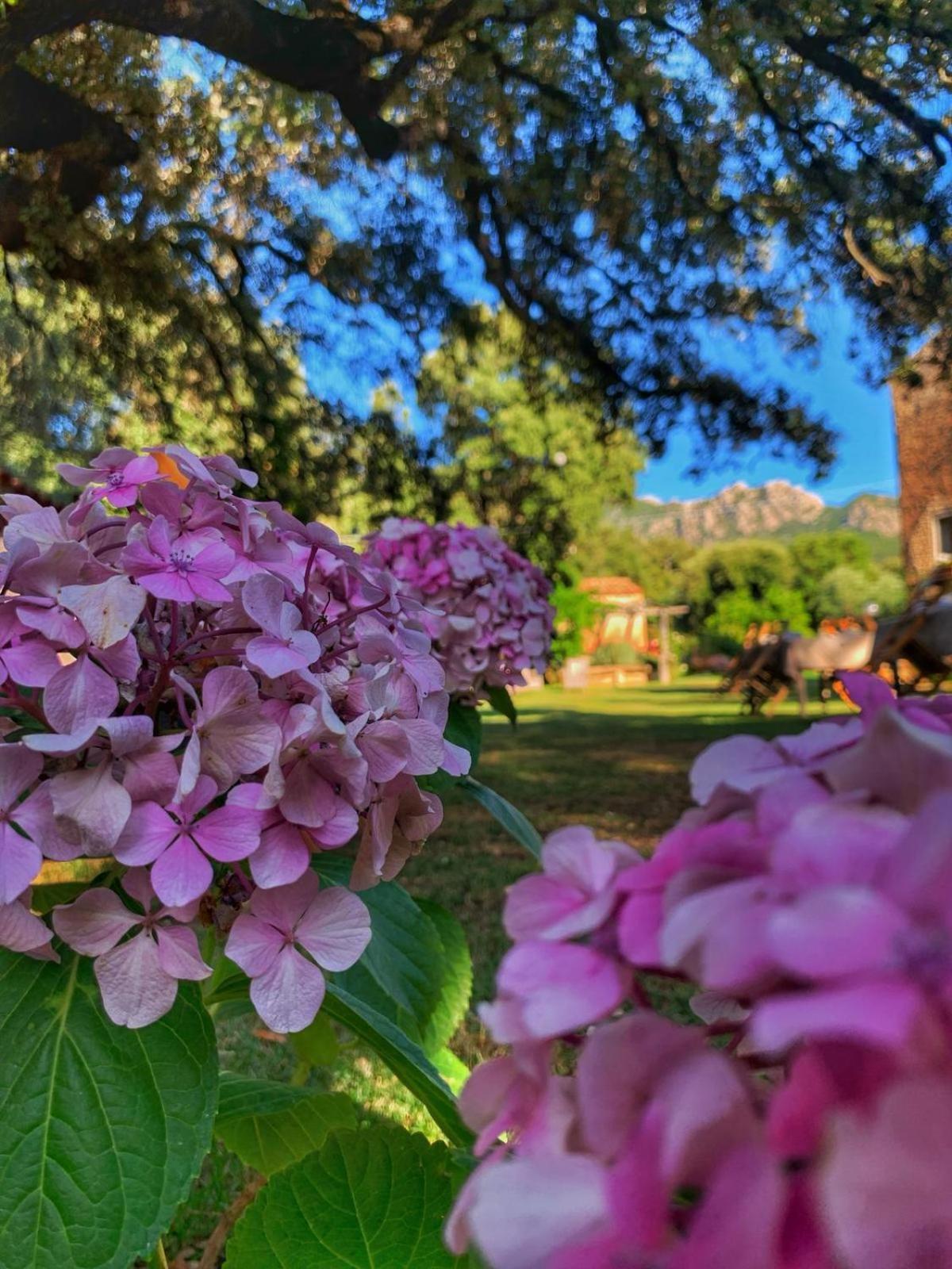 Agriturismo Casteddu Padru Екстериор снимка