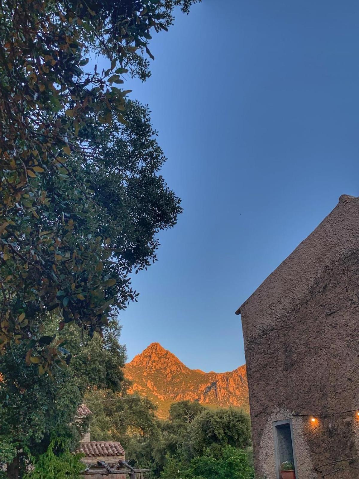 Agriturismo Casteddu Padru Екстериор снимка