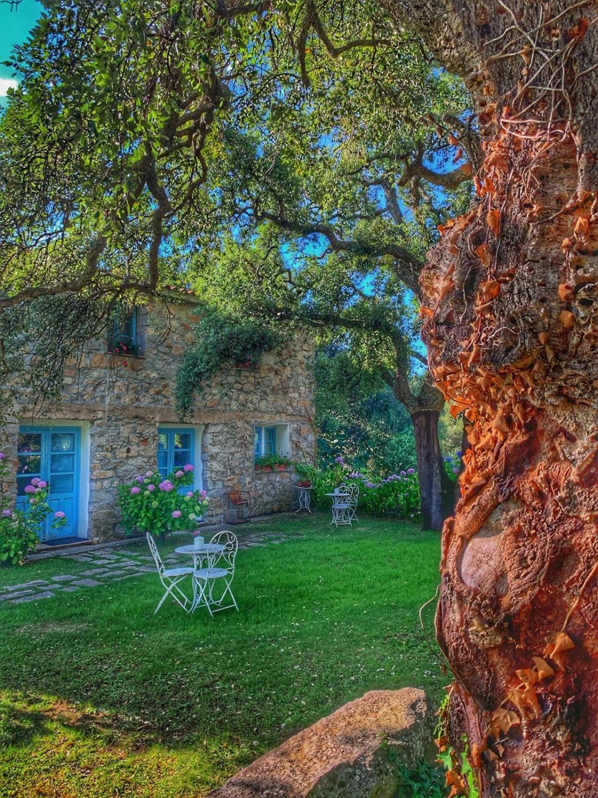 Agriturismo Casteddu Padru Екстериор снимка